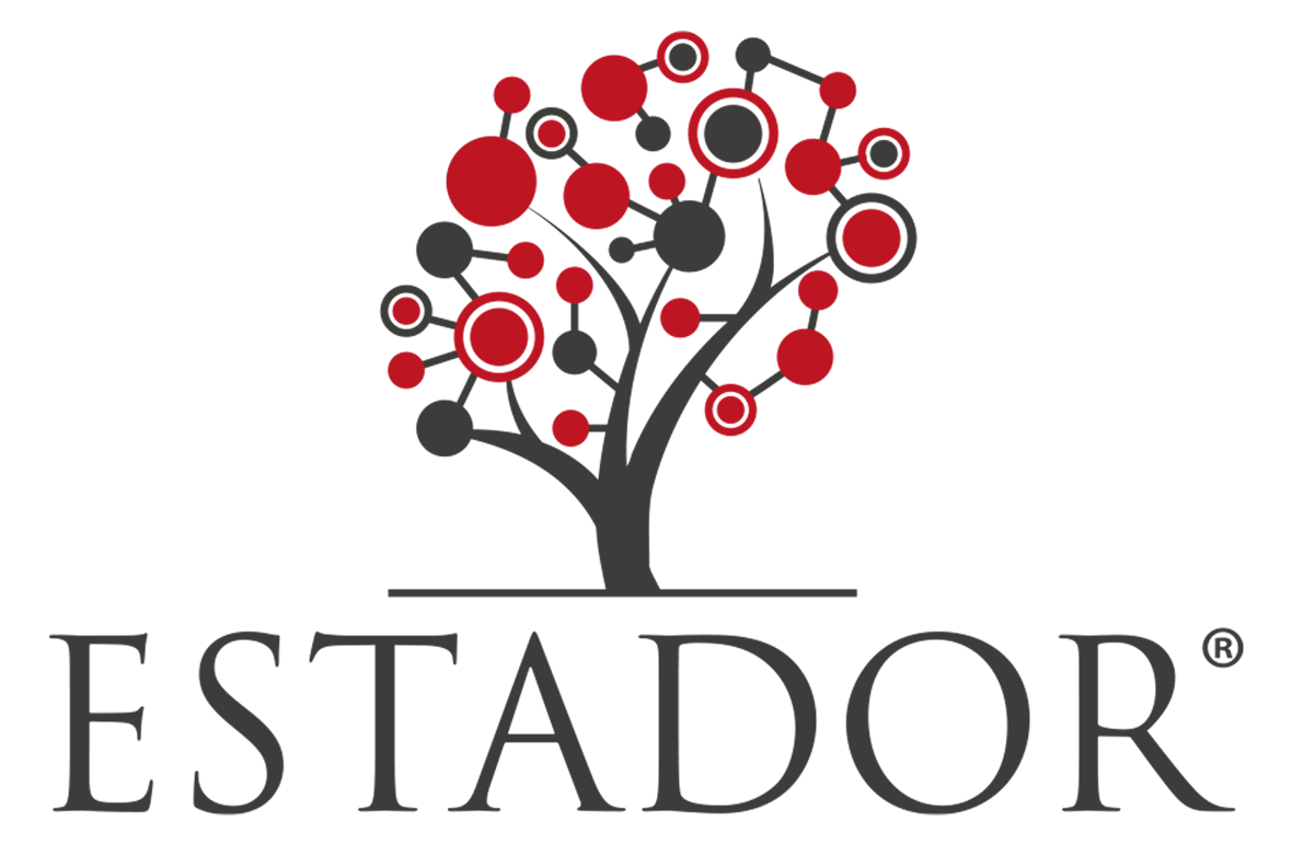 Estador Logo